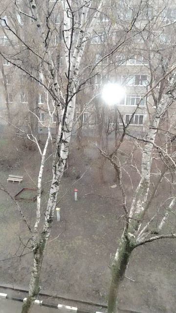 Пигвиненок позвал в апреле снег😍