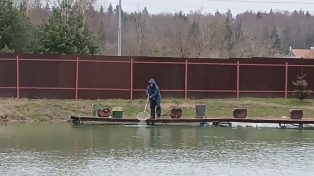 1000022248.mp4 смотреть онлайн