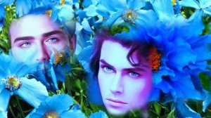 Михаил Артемьевич Кузнецов - Голубые Маки [в описании] #михаилартемьевичкузнецов