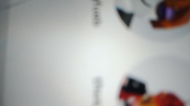 двойник в roblox