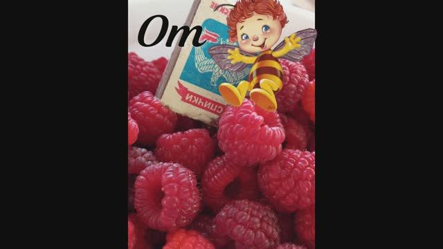 Начинаем размножать малину . Как получить 100 саженцев с 1 кг. корней малины