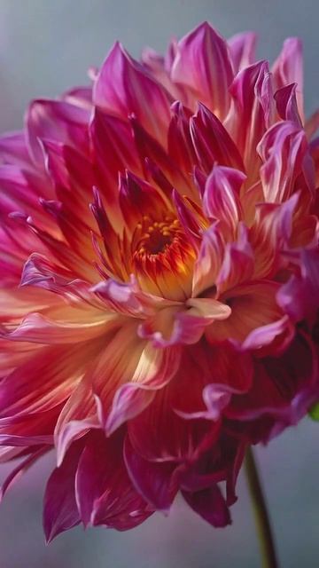 Доброе утро, Страна!