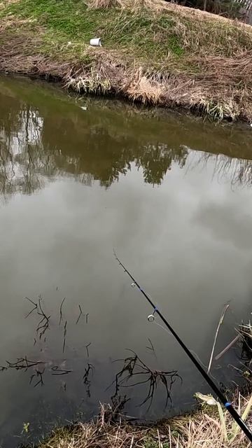 Duel Hardcore The One. Всё переживаешь?