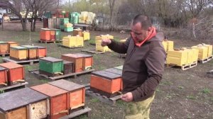 Бакфаст- 1часть. Иван