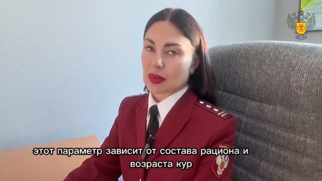 🥚  Как правильно выбрать безопасные яйца?