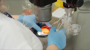 История успеха