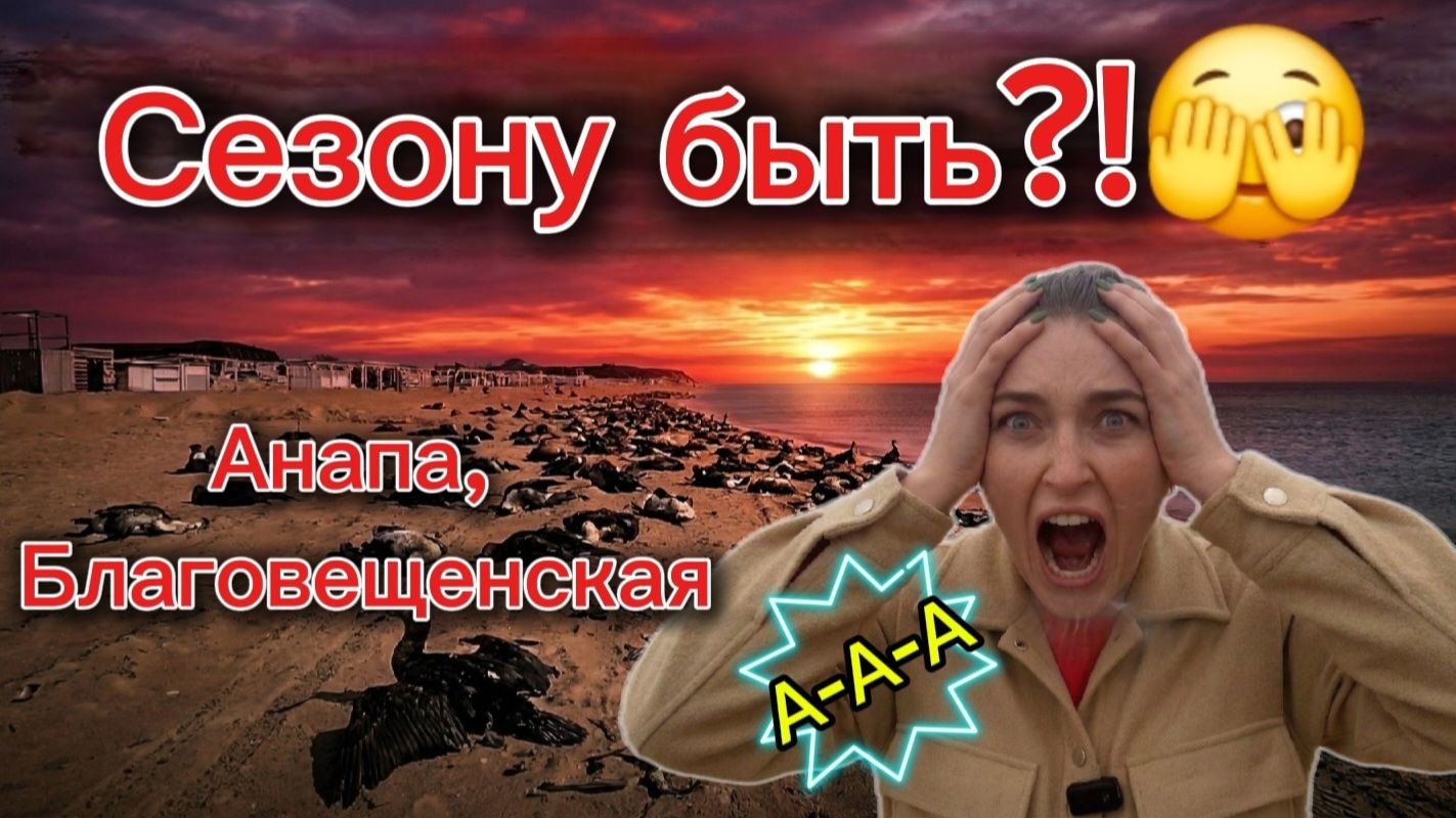 Сезону быть? Анапа, Благовещенская