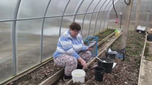 Как вырастить крупную и сладкую ягоду