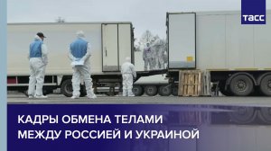 Кадры обмена телами между Россией и Украиной