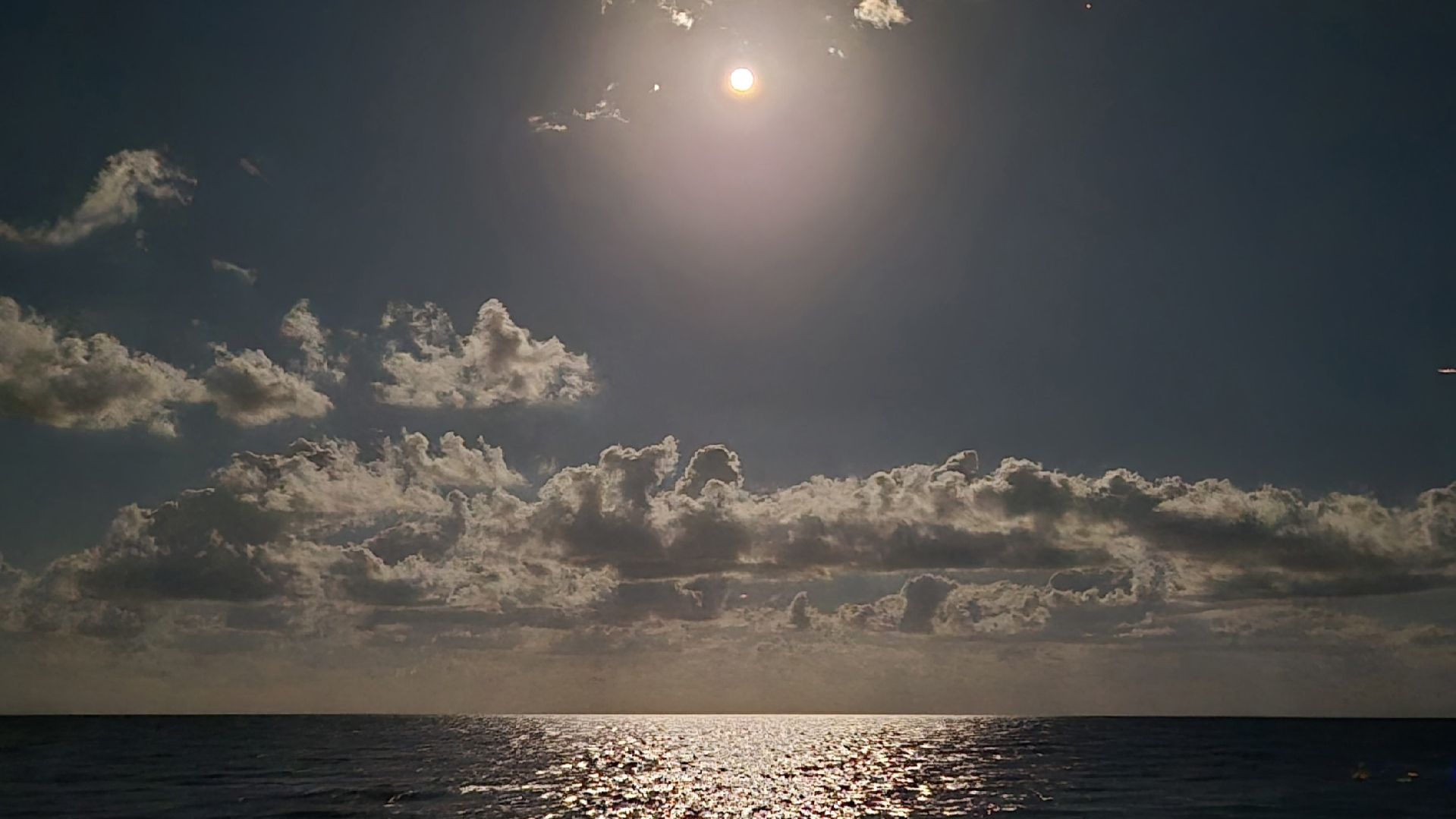 Klokat - Panama White