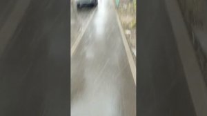 Мы идём гулять с собакой! | 9-апр-2026 3