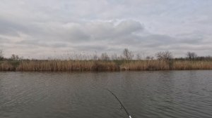 Поймал ВСЮ рыбу на НАВАХО Лайт Джиг (Олта), 2.28м, 1.5-8г