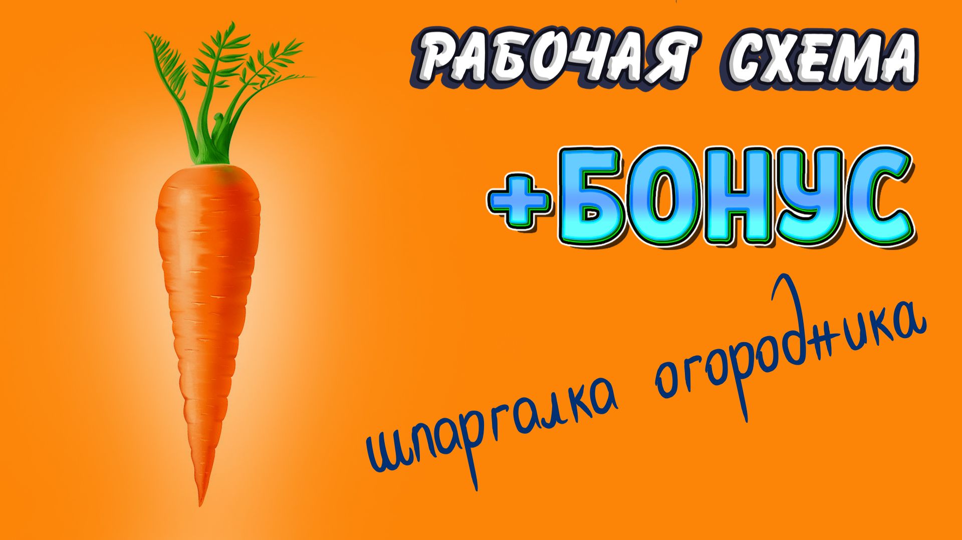 МОРКОВЬ. Полный цикл: от посева до сбора урожая и способа хранения. Все тонкости и секреты /Культуры