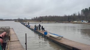 Запуск форели !!!