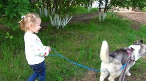 Настя играет с Хаски. Прогулка по зоопарку.