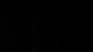 смешные моменты