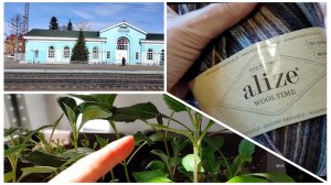 Погостила и хватит😉 Супруг справился👍 Хочу по-деревенски!☺️