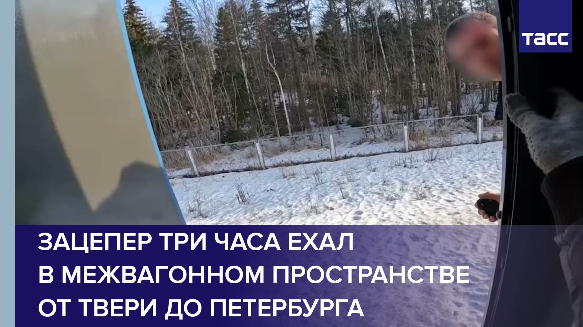 Зацепер три часа ехал в межвагонном пространстве от Твери до Петербурга смотреть онлайн