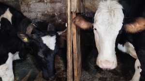 Влог:13.03.2026 г. Ждём...