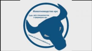 Почему 80% Телят Не Добирают Вес