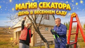 КУПИЛИ ДОМ В ДЕРЕВНЕ | Магия секатора | День в весеннем саду | Дом в деревне