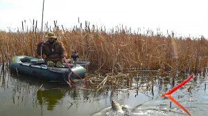 КАРАСИ ЛАПТИ ДО ЛОКТЯ!!САЗАНЫ РВУТ УДОЧКИ!! РЫБАЛКА НА ПОПЛАВОК ВЕСНОЙ - И СРАЗУ ЖОР!