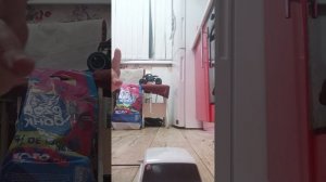 все мои радио управляемые машины