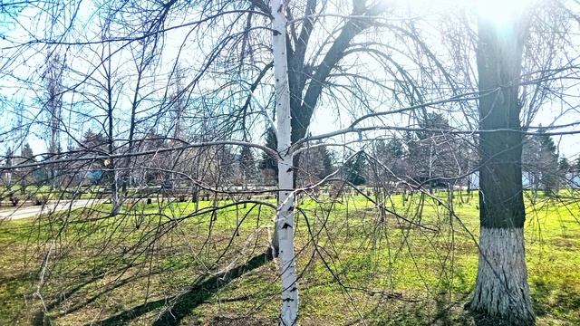 АЛЛЕЯ ПОБЕДЫ