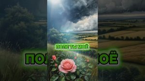 Песня Поле ты моё