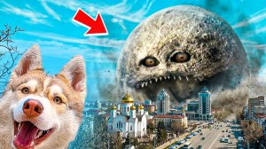 КАК ПОБЕДИТЬ ЛУНУ МОНСТРА? Хаски бублик Говорящая собака