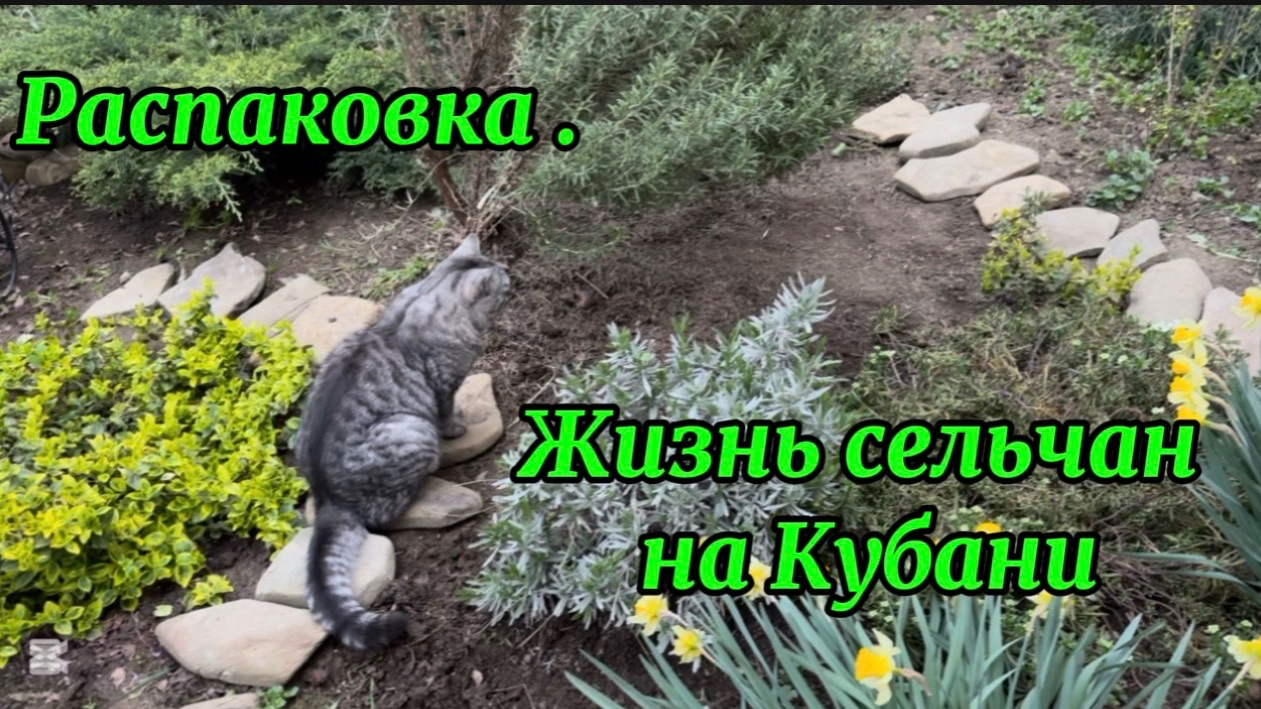 ❤️Оформила возврат/ Координальная обрезка и уборка в полисаднике.