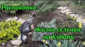 ❤️Оформила возврат/ Координальная обрезка и уборка в полисаднике.