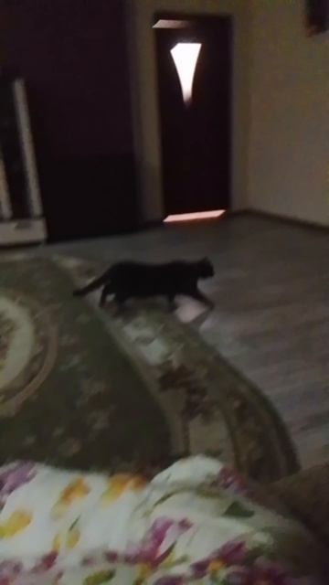 я мантирую видео