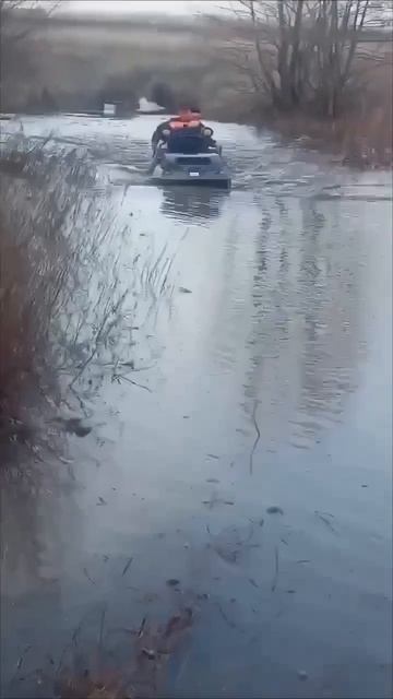 🎥 Видео от владельца 💪