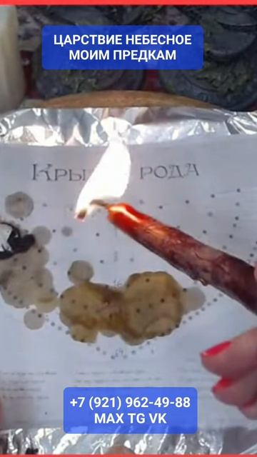 ЦАРСТВИЕ НЕБЕСНОЕ #онлайн #ритуал #shorts #светланаведа