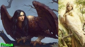 Разбор Терминов Волшебной Культуры от 09.04.26