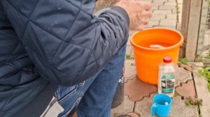 Закисляем голубику серной кислотой.