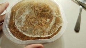 Пробую холодец вкус и польза