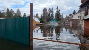 СНТ «Колос» полностью затопило на Бору