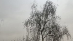 9 апреля сегодня вот так и ждите улучшение в погоде я на улице скоро буду...