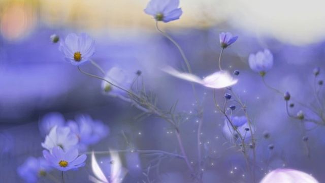 Золотые Драконы и Ангелы Света. О ДУАЛЬНОСТИ МИРОЗДАНИЯ 08.04.2026 54 Послание