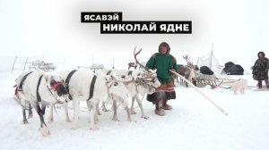Ясавэй. Кочевник ХХI века | Секреты обучения гоночных оленей от Николая Ядне