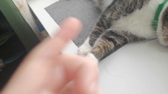 1 часть ученийе саздали монстра! 