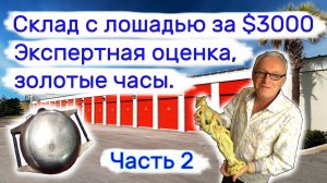 АУКЦИОН КОНТЕЙНЕРОВ В США - Склад с лошадью за $3000, Часть 2. Экспертная оценка. Выпуск 201