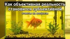 Как объективная реальность становится субъективной