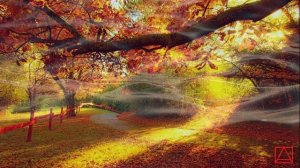 БЛАЖЕННАГО АВВЫ ЗОСИМЫ СОБЕСЕДОВАНИЯ ч17