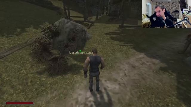 Играем в готику классик на Xbox SS