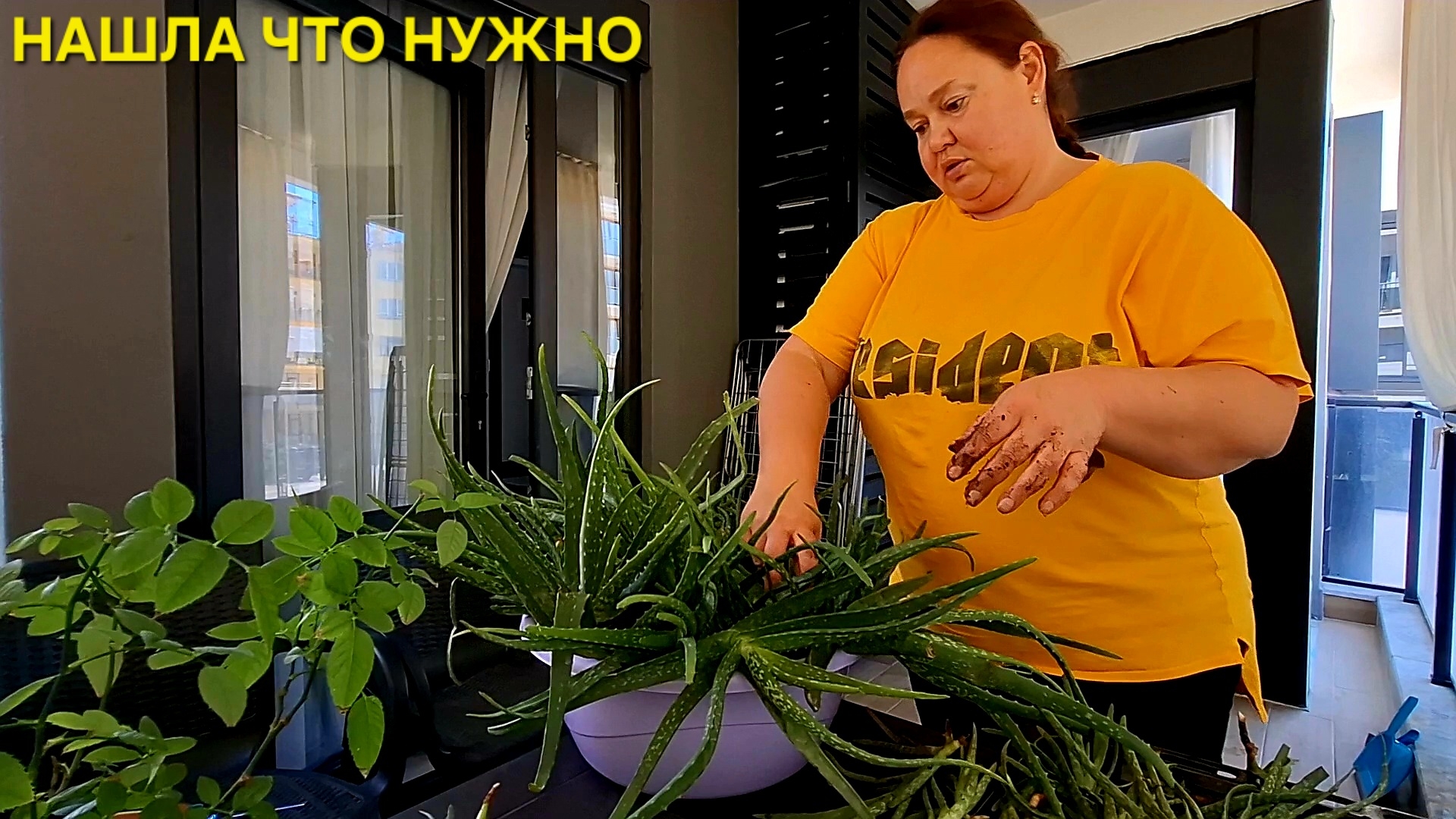 НОВАЯ ЖИЗНЬ🌱КАКИЕ САМИ ТАКИЕ И САНИ
