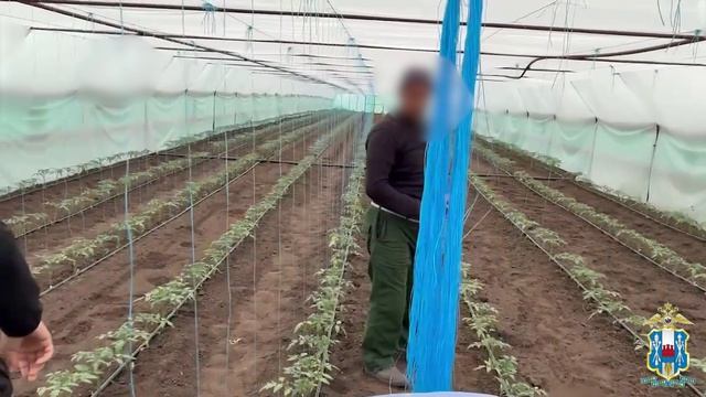 Как мошенники обманули 92-летнюю бабушку и чуть не устроили теракт в Батайске