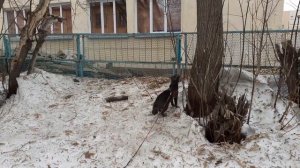 По старым , забытым местам.